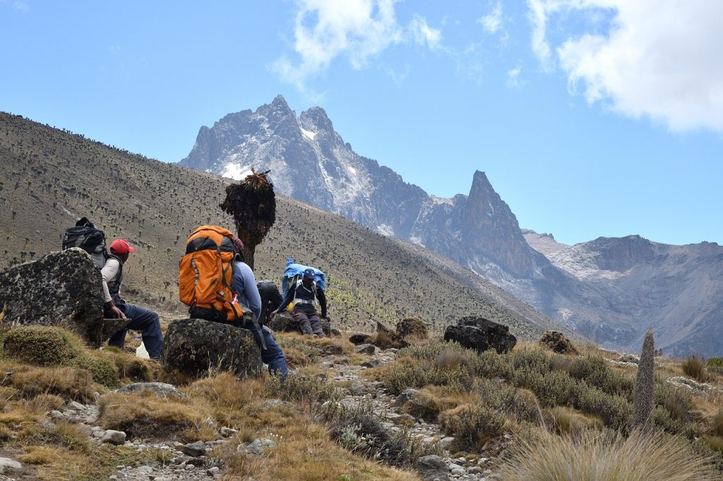 mount kenya, hikers, mountain, landscape, flora, hiking, trekking, kenya, africa, nature, sky, wilderness, outdoors, rocks, grass, mount kenya, mount kenya, mount kenya, mount kenya, mount kenya